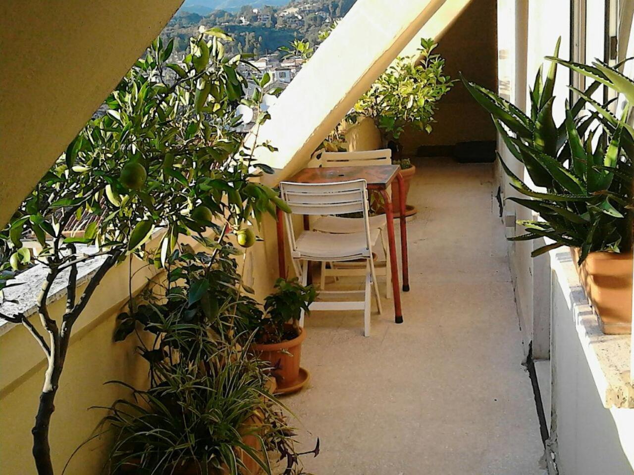 A Casa Di Lola Bed and Breakfast Ascoli Piceno Eksteriør billede