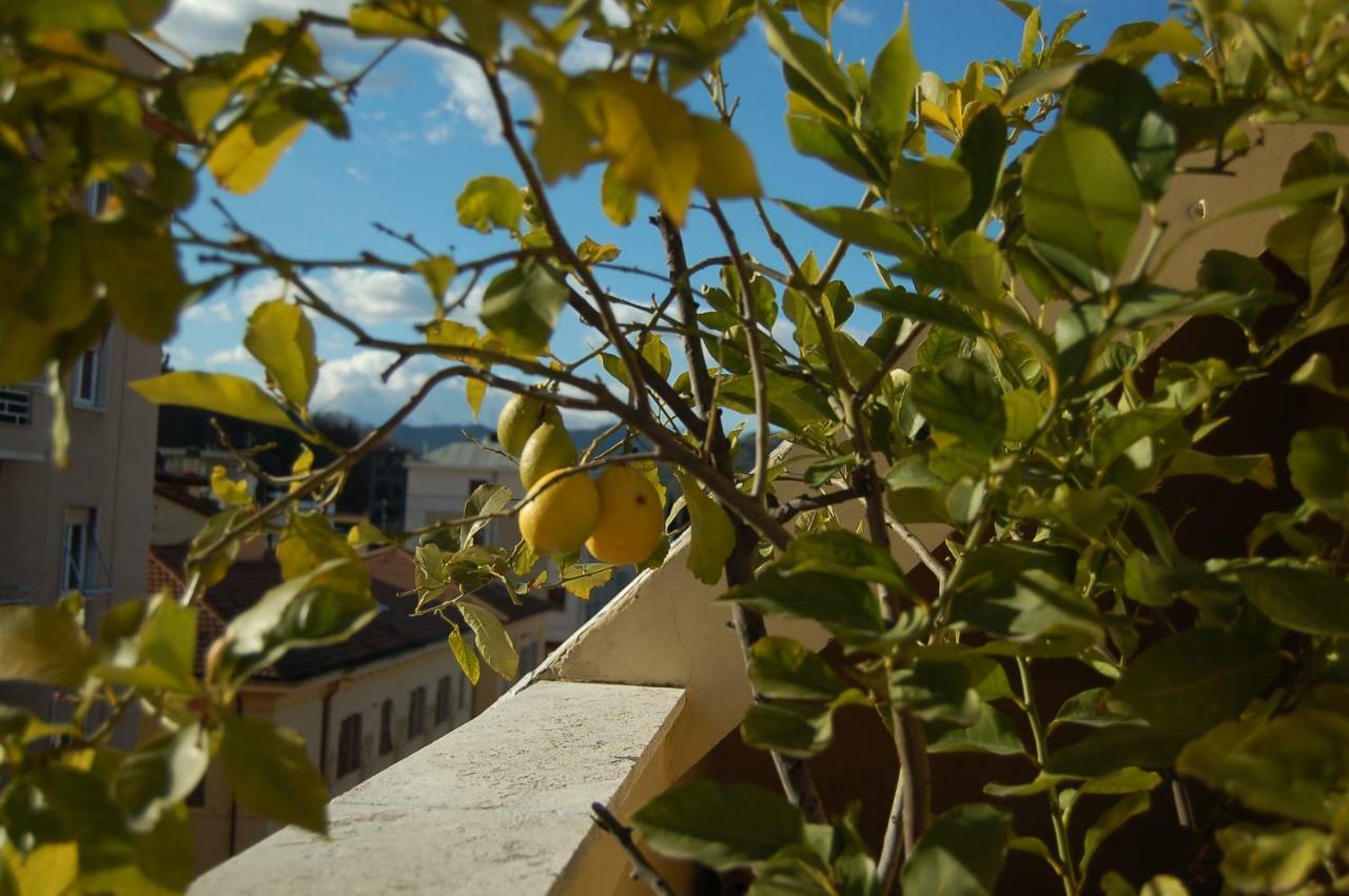 A Casa Di Lola Bed and Breakfast Ascoli Piceno Eksteriør billede