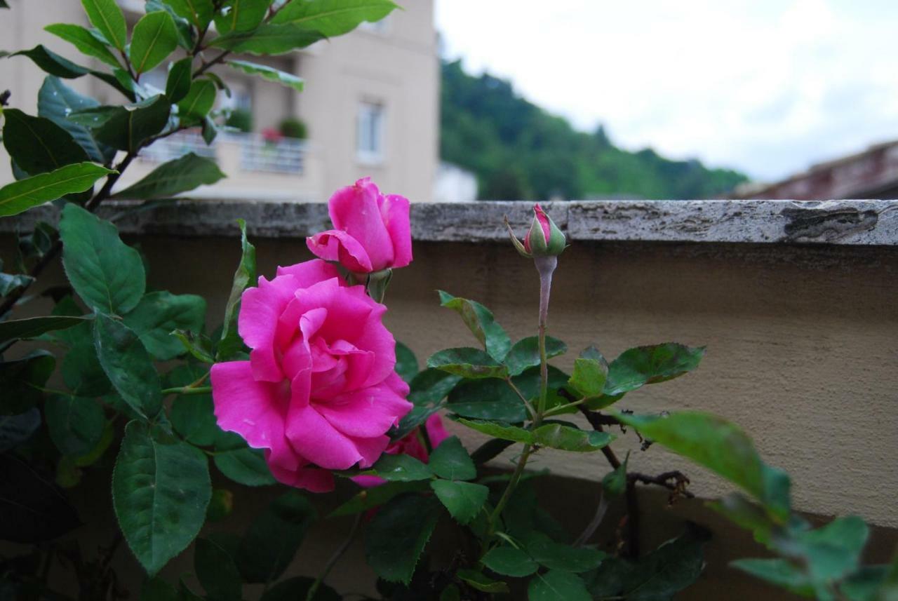 A Casa Di Lola Bed and Breakfast Ascoli Piceno Eksteriør billede